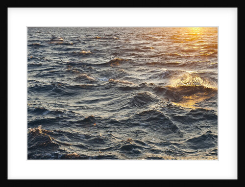 Sea at sunset, Korcula island, Croatia by Anonymous