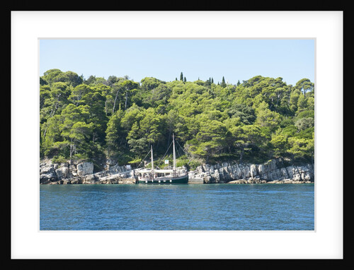 Coastline, Lokrum Island, Dubrovnik, Croatia by Anonymous