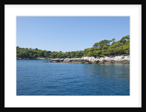 Coastline, Lokrum Island, Dubrovnik, Croatia by Anonymous