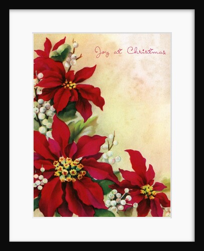 Vintage Illustration of Christmas Poinsettia and Mistletoe by Anonymous