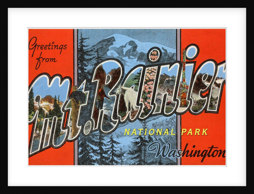 Greetings from Mt. Rainier National Park, Washington by Anonymous