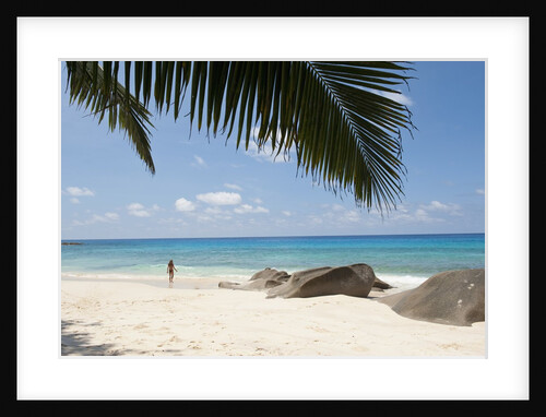 Beach at North East point, Mahe, Seychelles, Indian Ocean islands by Anonymous