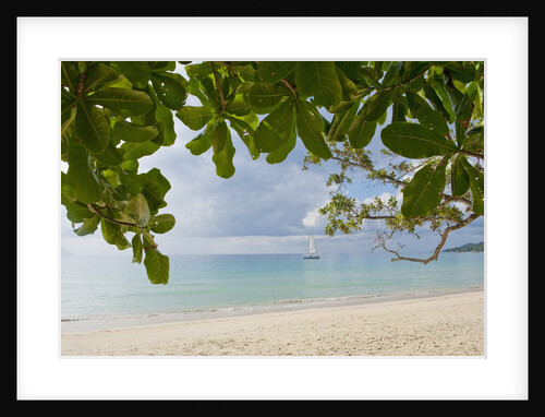 Beach at Bel Ombre, Baie Beau Vallon, Mahe, Seychelles, Indian Ocean islands by Anonymous