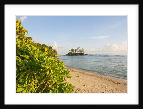 Petite Ile at Port Glaud, Mahe, Seychelles, Indian Ocean islands by Anonymous
