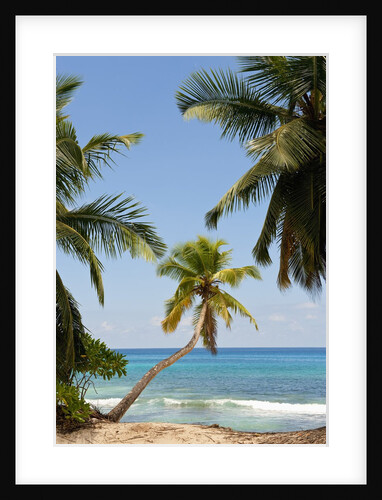 Takamaka beach, Seychelles, Indian Ocean islands by Anonymous