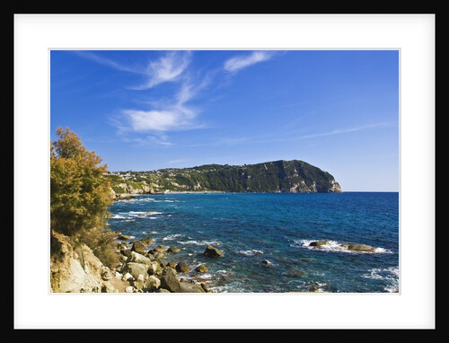 Coastline, Forio, Campania, Italy by Anonymous