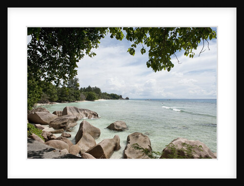 Beach, La Digue, Seychelles, Indian Ocean Islands by Anonymous