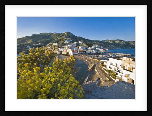 Sant'Angelo, Serrara Fontana, Campania, Italy by Anonymous