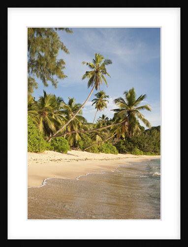 View of Takamaka Beach, Mahe, Seychelles by Anonymous