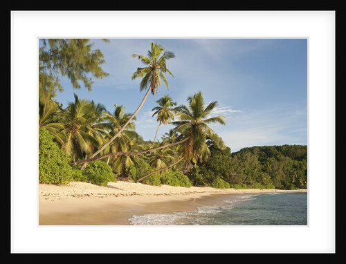 View of Takamaka Beach, Mahe, Seychelles by Anonymous