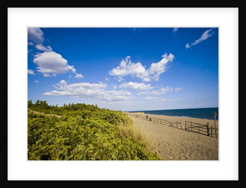 View of Ultima Spiaggia beach, Capalbio, Tuscany, Italy by Anonymous
