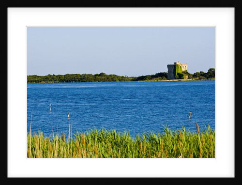 View of lake and reeds, Capalbio, Tuscany, Italy by Anonymous