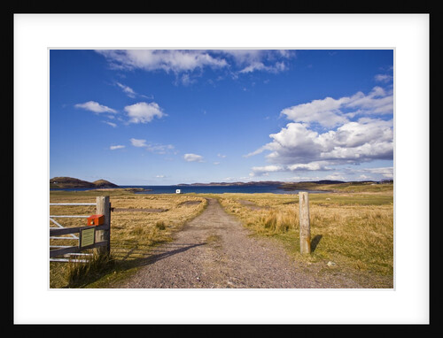 Dirt track leading through fields,Poolewe, Scotland, United Kingdom by Anonymous