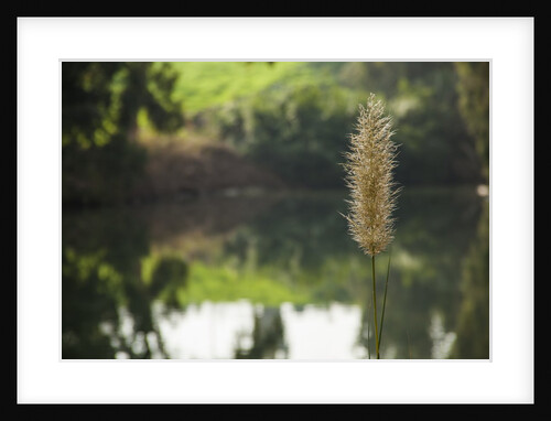 Jordan River by Anonymous