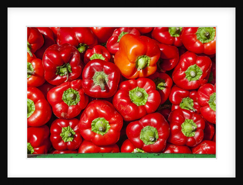 Red peppers Carmel Market by Anonymous