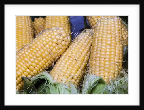 Fresh sweet corn in Carmel Market by Anonymous