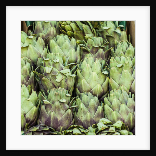 Fresh Artichokes Carmel Market by Anonymous