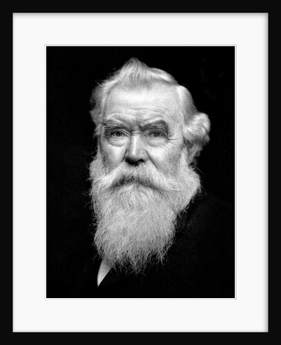 Senior man portrait, ca. 1910 by Anonymous