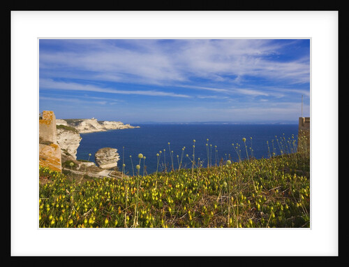 Coast near town from Carotola garden, Boniface, Corsica, France by Anonymous