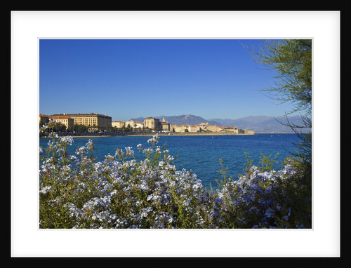 View of town from Lantivy seaside, Ajaccio, Corsica, France by Anonymous