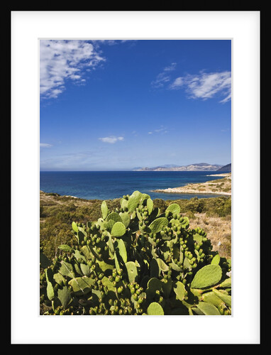 View near Ostriconi beach, Corsica, France by Anonymous