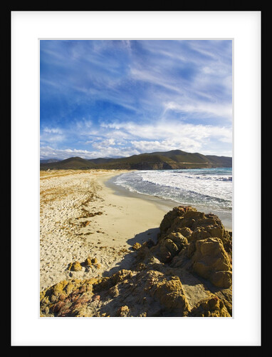 View of Ostriconi beach, Corsica, France by Anonymous