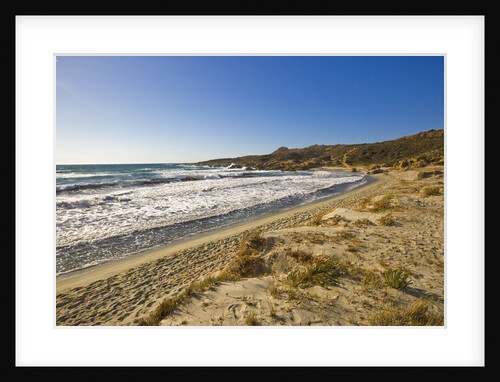 View of Ostriconi beach, Corsica, France by Anonymous