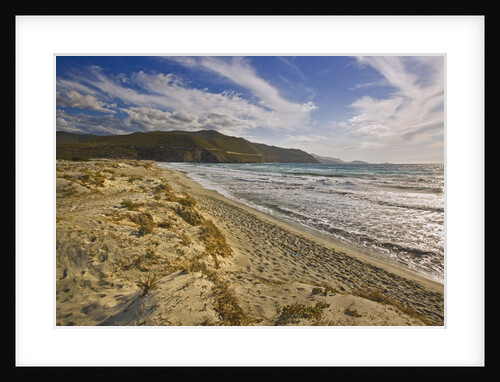 View of Ostriconi beach, Corsica, France by Anonymous