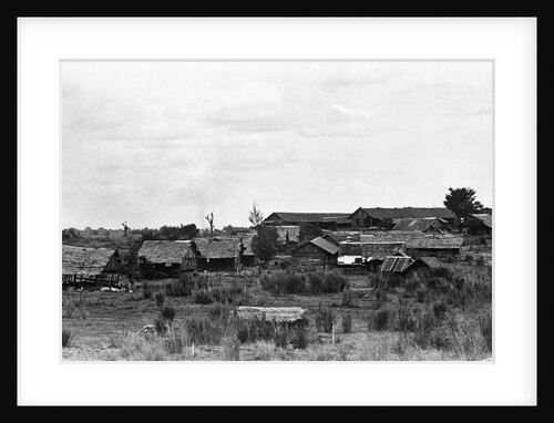 Camp O'Donnell by Anonymous