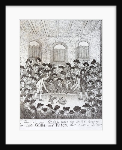 Cock fighting - a late 18th century engraving by Anonymous