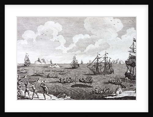 Whaling in the 18th century. A British naval squadron in the Arctic by Anonymous