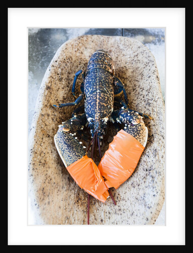 Lobster - Sea food delicacy by Anonymous