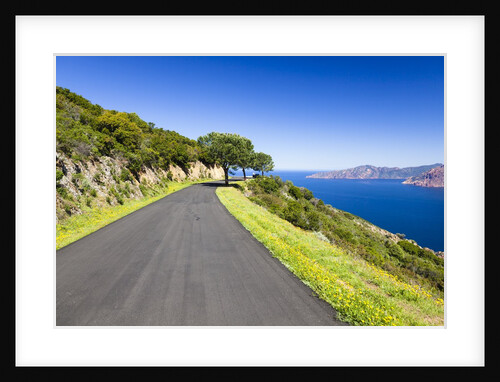 Road by the blue sea by Anonymous