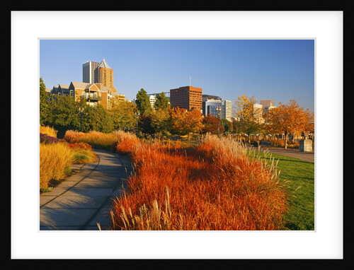 The Garden at South Waterfront Park, Portland Oregon. Pacific Northwest by Anonymous