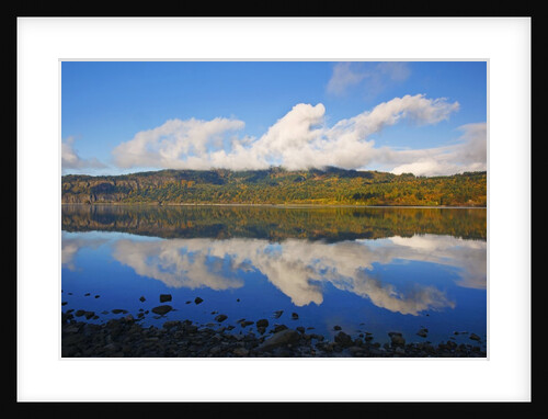 beautiful morning reflection in Columbia River and fall colors, Columbia River Gorge National Scenic Area, Oregon by Anonymous