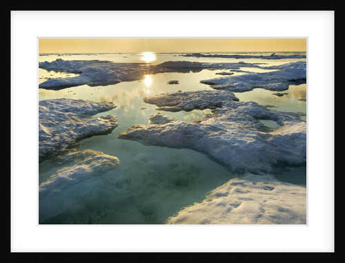 Melting Sea Ice at Sunset Hudson Bay, Canada by Anonymous
