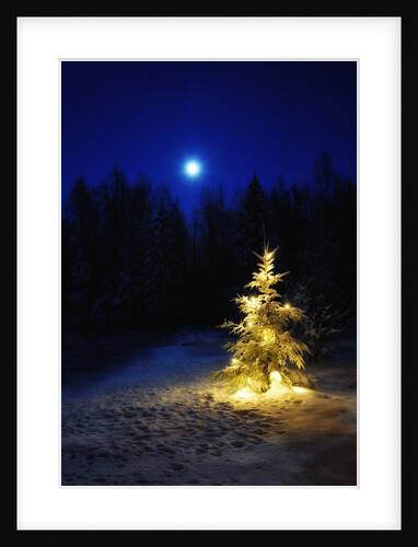 Small Christmas tree against silhouette trees and full moon by Anonymous