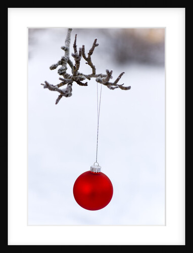 Close-up of red bauble hanging on branch against blurred background by Anonymous