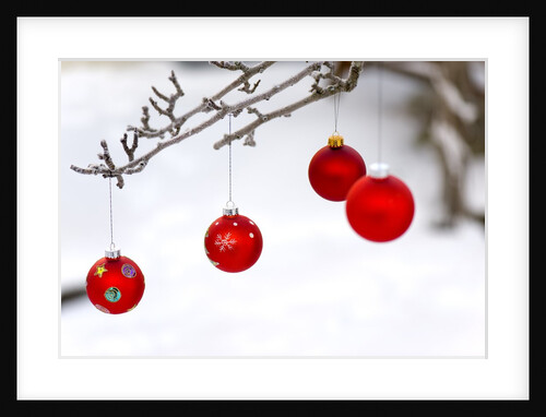 Close-up of red baubles hanging on branch against blurred background by Anonymous