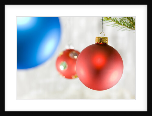 Close-up of hanging red and blue Christmas baubles by Anonymous