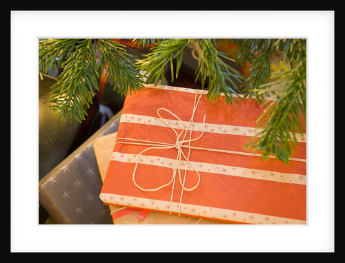 Close-up of Christmas gifts under the tree by Anonymous