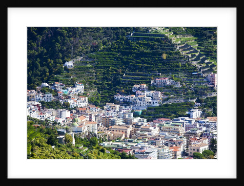 Vista from Hillside Town of Ravello of the Town of Minori below by Anonymous