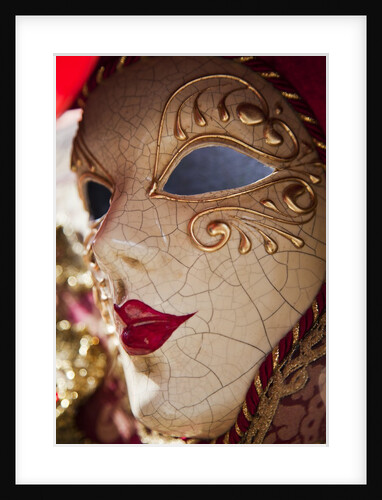 Women's Carnival Mask With Gold Trim by Anonymous