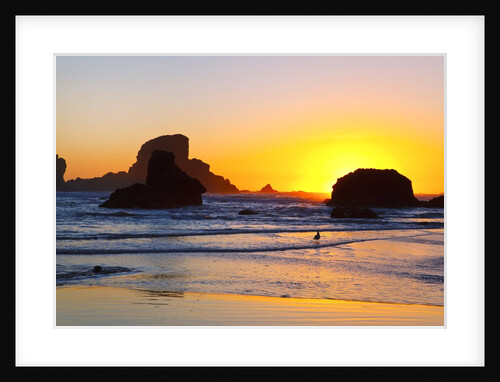 Sunset along Arch Rock, Ecola State Park, Oregon Coast, Pacific Northwest, United States by Anonymous