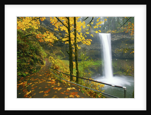Fall colors add beauty to South South Silver Falls, Silver Falls State Park, Oregon by Anonymous