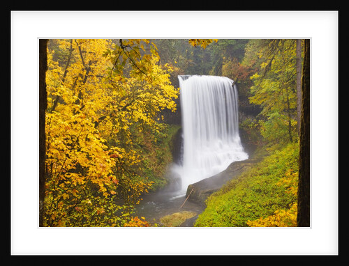 Fall colors add beauty to North Middle Falls, Silver Falls State Park, Oregon, Pacific Northwest by Anonymous