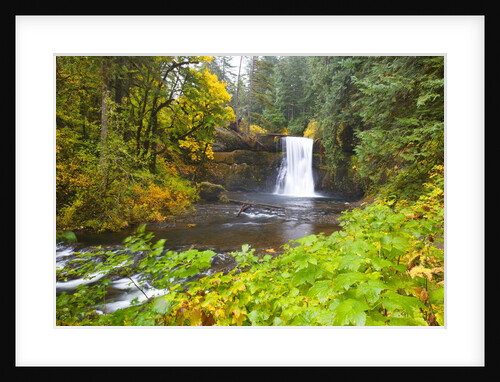Fall colors add beauty to Upper North Falls, Silver Falls State Park, Oregon, Pacific Northwest by Anonymous