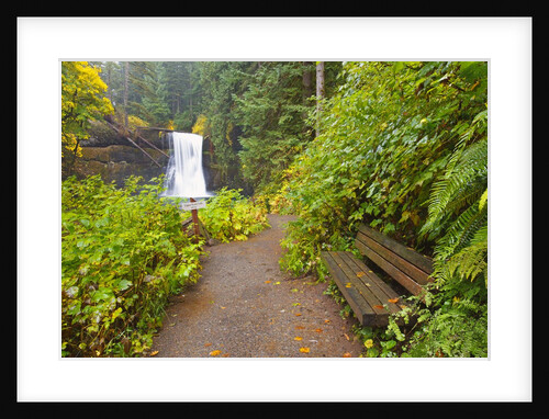 Fall colors add beauty to Upper North Falls, Silver Falls State Park, Oregon, Pacific Northwest by Anonymous