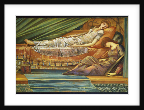 The Sleeping Princess by Edward Burne-Jones