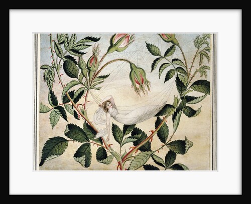 A Fairy Resting in a Hammock Spun from a Cobweb by Amelia Jane Murray